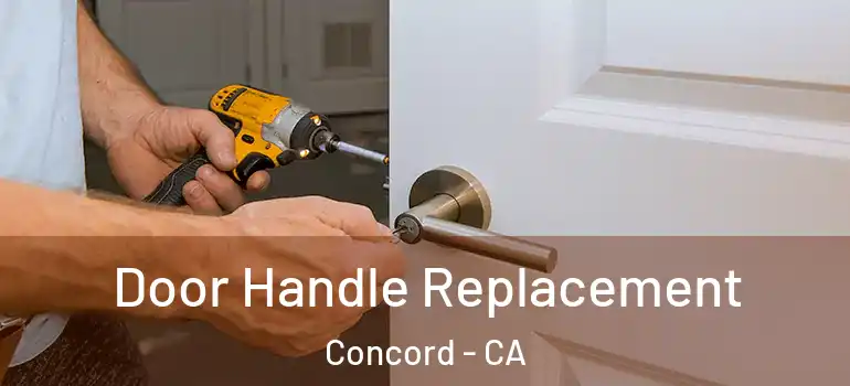  Door Handle Replacement Concord - CA