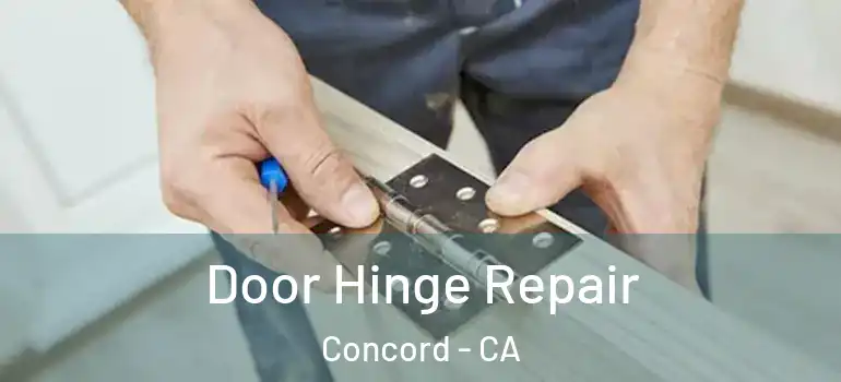  Door Hinge Repair Concord - CA