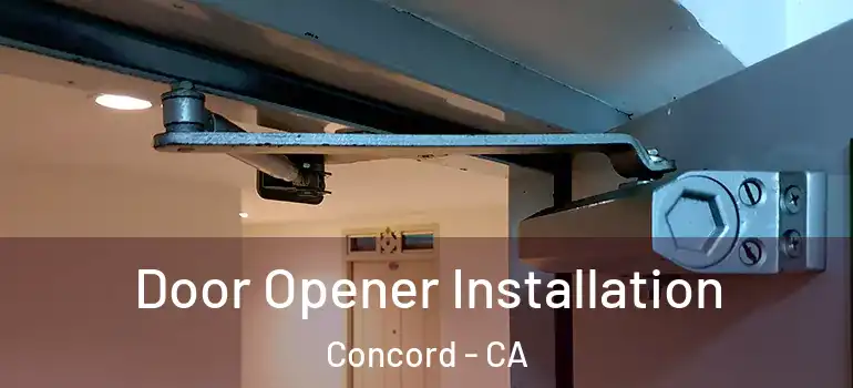  Door Opener Installation Concord - CA