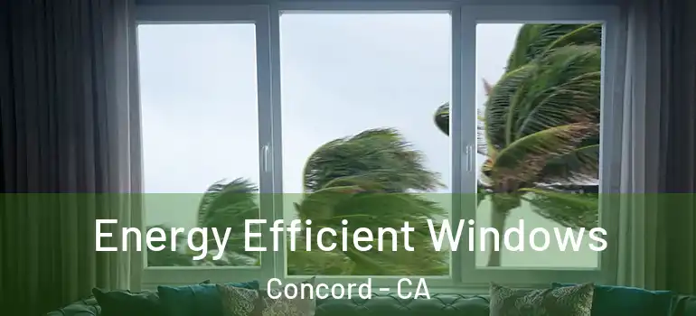  Energy Efficient Windows Concord - CA