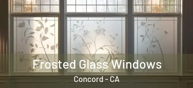 Frosted Glass Windows Concord - CA