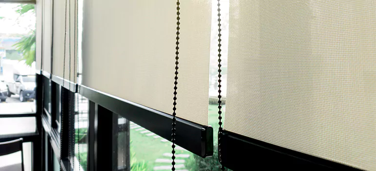 Blackout Window Shades in Concord, CA