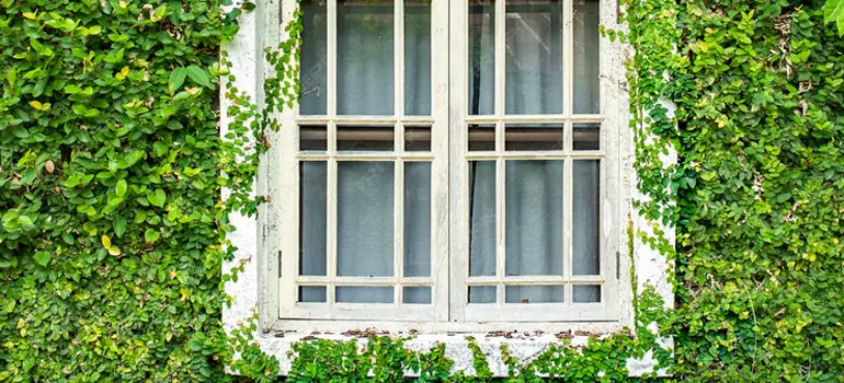 Garden Window Repair Near Me in Concord, CA