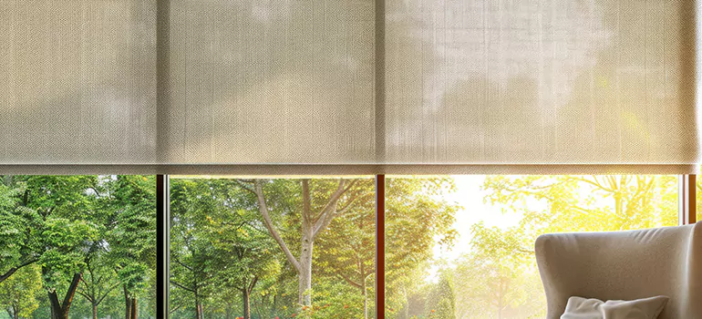 Custom Window Shades in Concord, CA