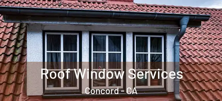  Roof Window Services Concord - CA