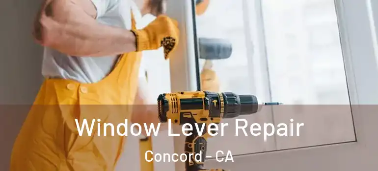  Window Lever Repair Concord - CA