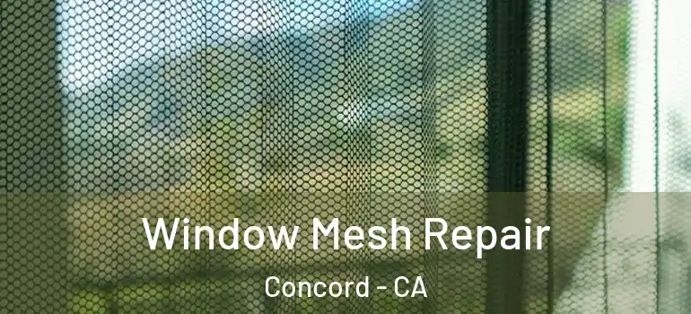  Window Mesh Repair Concord - CA