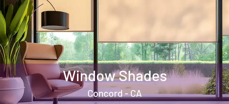  Window Shades Concord - CA